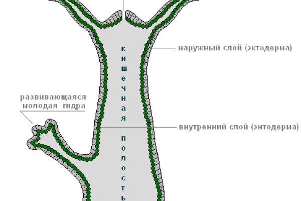 Магазин kraken даркнет