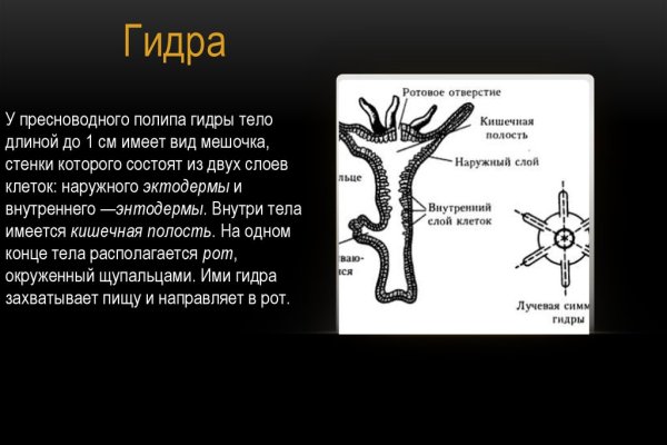 Ссылка на кракен не работает