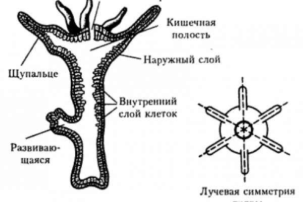 Кракен дарксайд 2025 ссылка