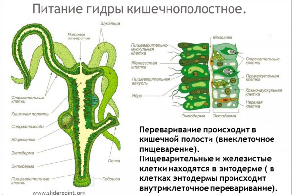 Наркосайт кракен