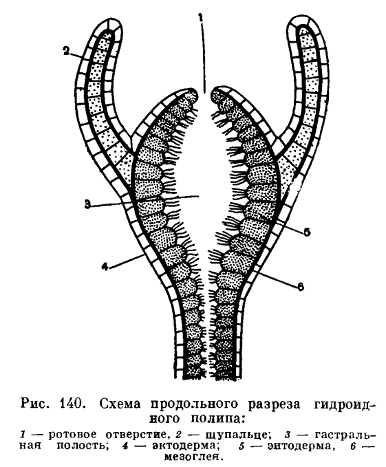 Kraken ссылка тг